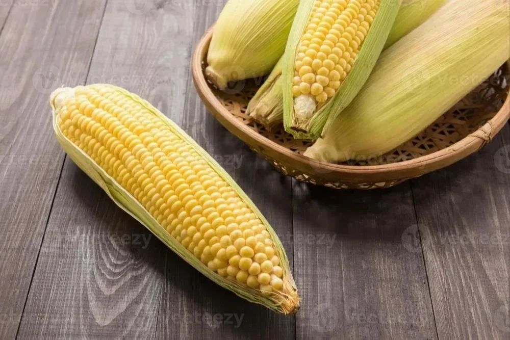 Organic Corn
