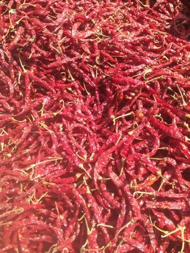 Byadgi Syngenta 5531 Dry Red Chilli, Whole Dried