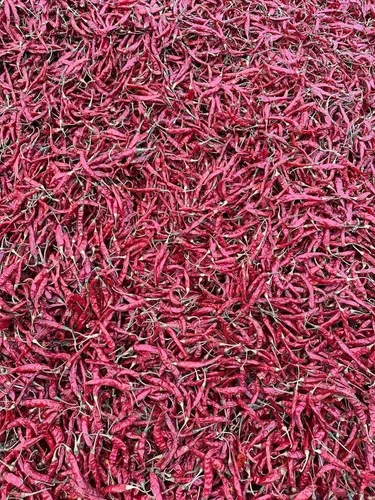 Syngenta Byadgi Quality Dry Red Chilli With Stem