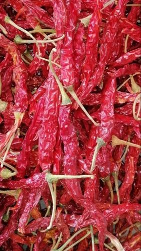 Byadgi Syngenta 5531 Dry Red Chilli, Deluxe (DLX), Deluxe (Dlx)