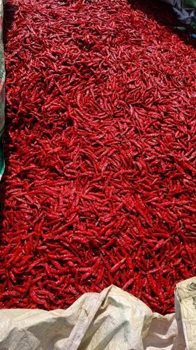 Stemless Dry Red Chili