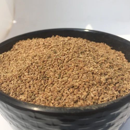Standard Quality Ajwain Carom Seed, PP Bag, 25 Kg