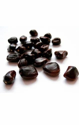 RANGMANCH Tamarind Seeds Imli Beej, Packaging Size: 25 kg, Packaging Type: PP Bag
