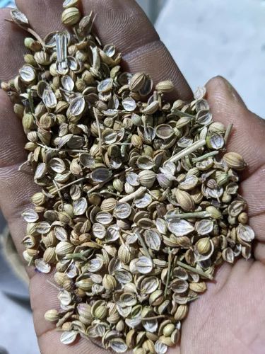 Natural Green Eagle Dhaniya Split, Form: Seeds, 25 Kg