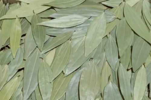 Bay Leaf, Premium