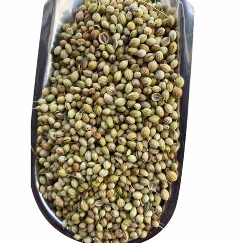 Scooter Coriander Seeds