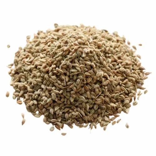 Standard Quality Ajwain Carom Seeds, 25 Kg, PP Bag