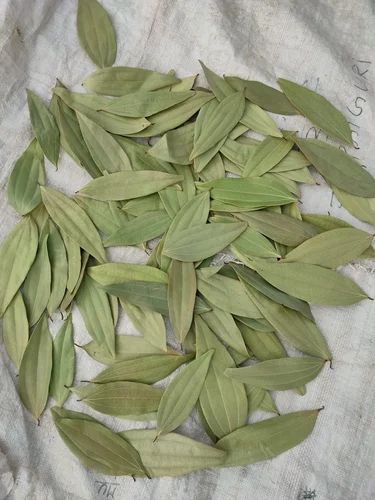 Bay Leaf Premium Export Quality