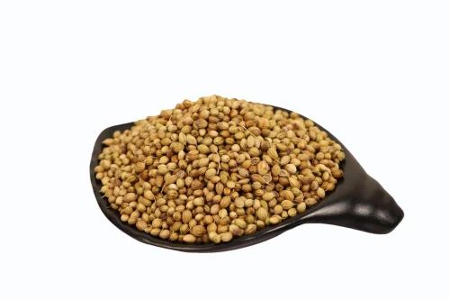 Natural Yellow Eagle Plus Coriander Seeds, Form: Leaves, 25 Kg
