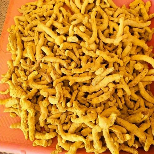 Salem Turmeric Finger