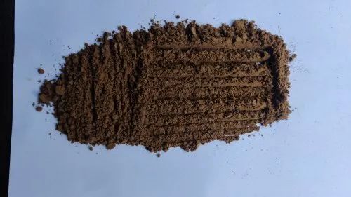 Amboyan Clove (laving) Powder, Packaging Size: 1kg packing