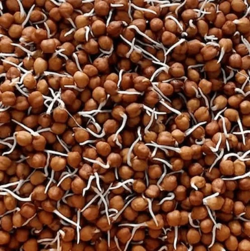 Sprouts Black Chana