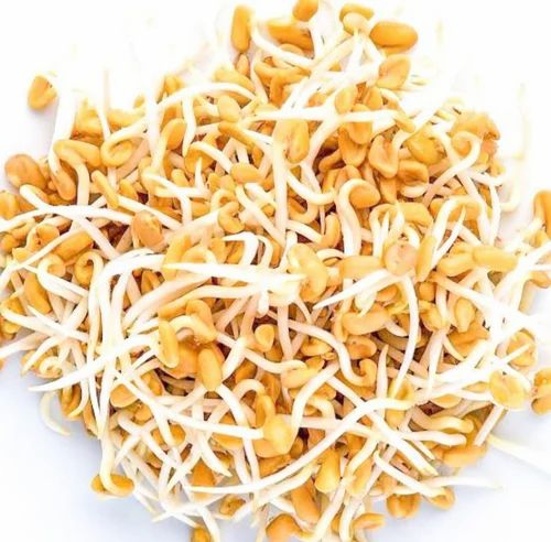 Sprouted Methi Seeds