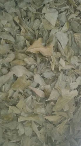 Premium Dehydrated Dry Curry Leaves (5 Kg)