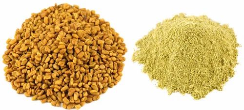 Fenugreek Powder (Trigonella foenum-graecum), 25 Kg