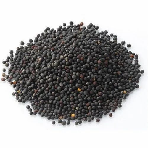 Black Mustard Seeds