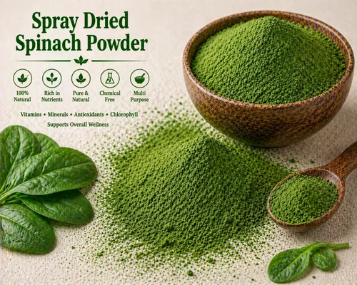 Spray Dried Spinach Powder (25 Kg)