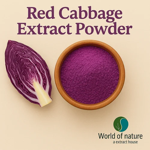 Red Cabbage Extract Powder, Grade: Food Grade