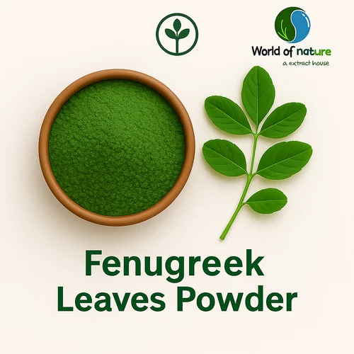 Fenugreek Leaves Powder, 25 Kg