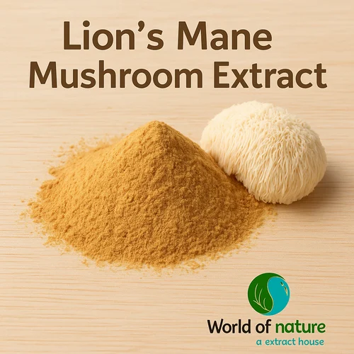 Lion's Mane Mushroom Extract, Packaging Size: 25 kg