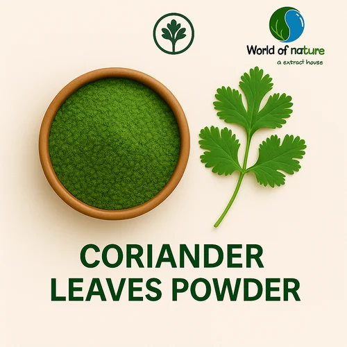 Coriander Leaves Powder, Packaging Size: 25 kg, Packaging Type: Bag
