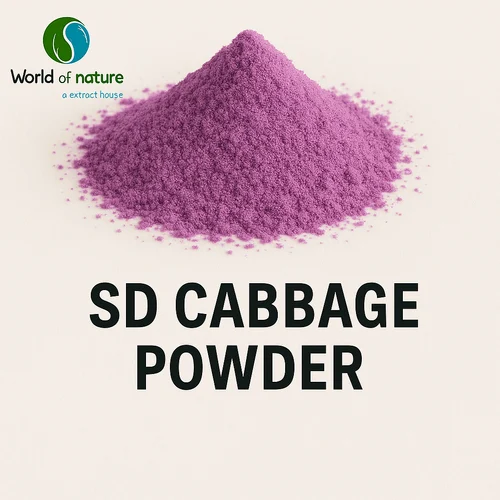 SD Cabbage Powder, Packaging Type: Drum
