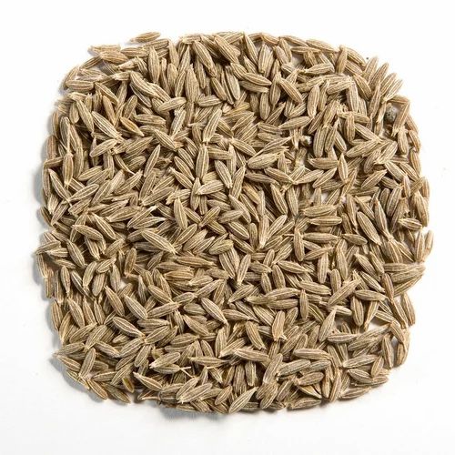 Organic Cumin Seed