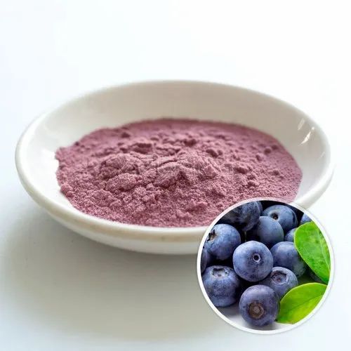 Dark Purple Blueberry Extract Powder, Packaging Type: Plastic Bag, Packaging Size: 25 Kg