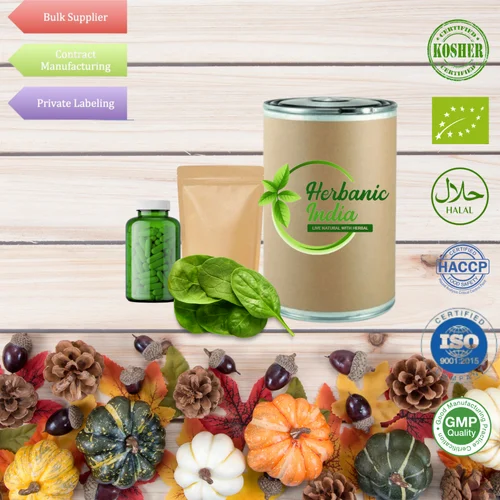 Spinach Extract Powder, Packaging Size: 25 Kg