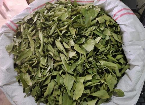 Organic Curry Leaves, A Grade