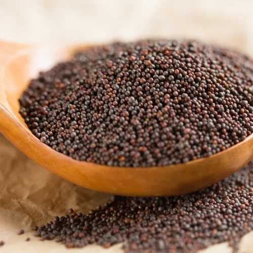 Organic Mustard Rai Seeds