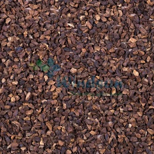 Roasted Chicory FC C/S