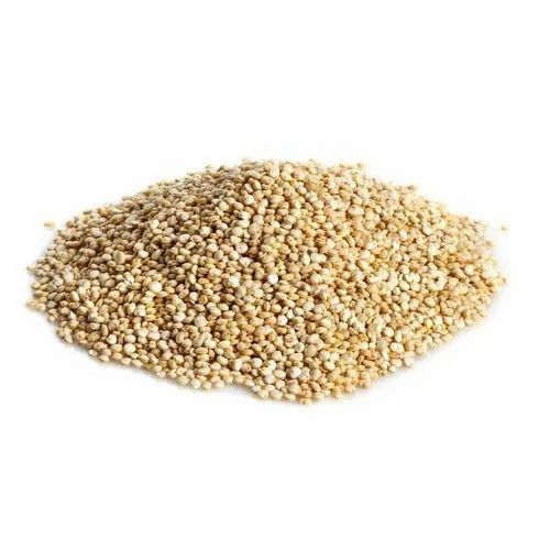 Indian Organic Quinoa Seed, Packaging Size: 50kg PP Bag