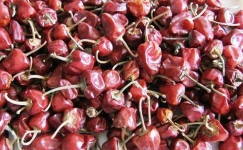 Organic Desi Round Chilly