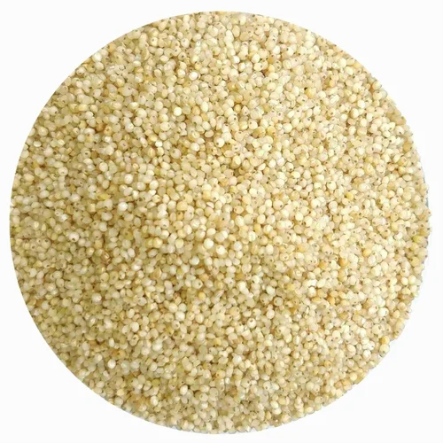 Organic Barnyard Millet
