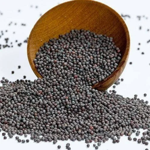 Organic Mustard Seed