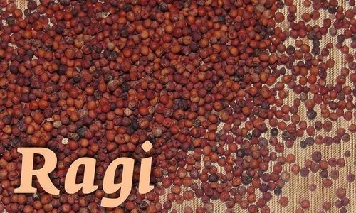 Red Organic Ragi Seed, For Food, High in Protein