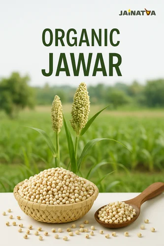 Organic White Jowar