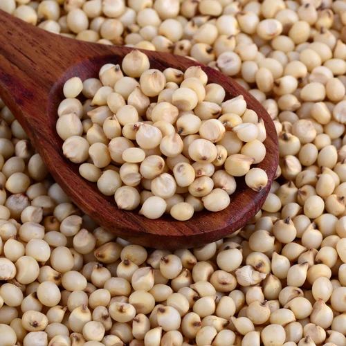 White Organic Sorghum Millet