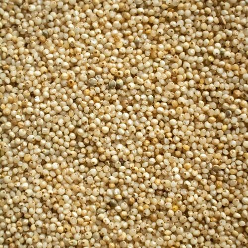 Organic Barnyard Millet