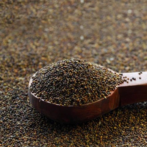 Himalayan Jakhiya Seeds, 1 Kg