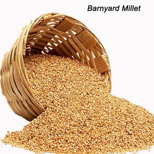 Organic Himalayan Barnyard Millet from Uttarakhand
