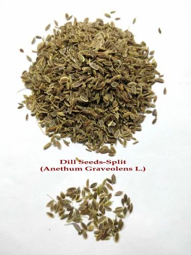 APEX Dill Seeds Split, Form: Whole, Packaging Type: PP Bag