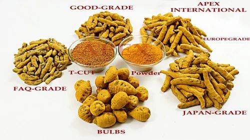 Dried Turmeric Roots, Packaging Size: 50 Kg