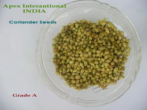 Apex Whole Coriander Seeds, Packaging Type: PP Bag, Packaging: Bags