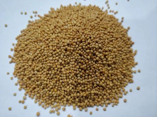 Mustard Seed Yellow Black, 50 Kg