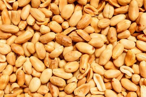 Blanched Roasted Peanut 50/60 Count (25 KGS Vacuum Bag)