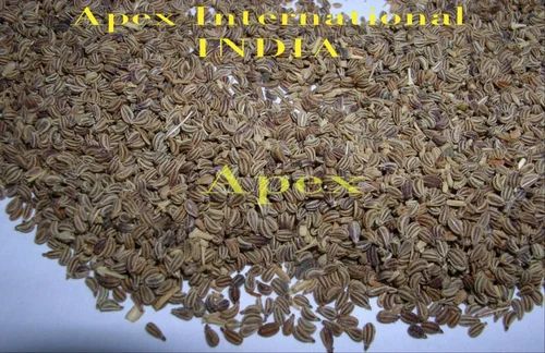 Ajmoda Seeds Celery Seed