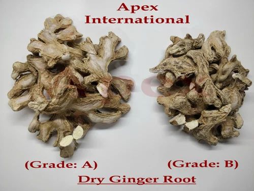 Dry Ginger Whole