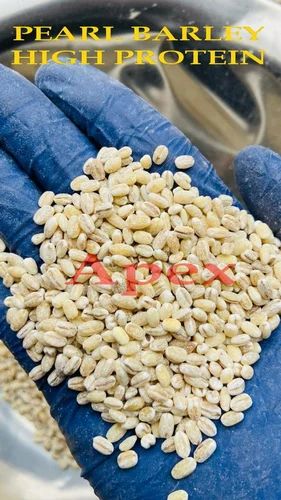 White PEARLED BARLEY (PREMIUM GRADE) - HIGH IN PROTEIN, Size: Bold, 30 Kg